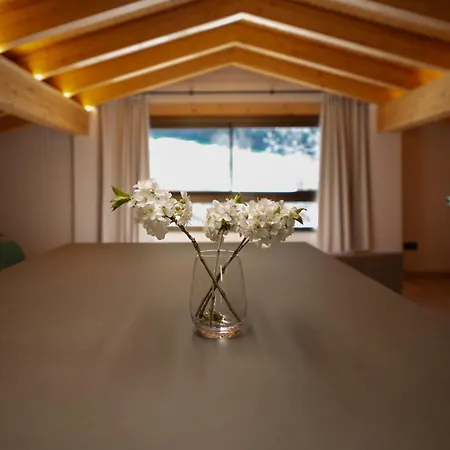 I L'orri Del Pallars Campsite Ribera de Montardit